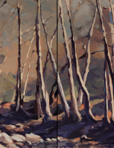 Susan Cook "Beyond the Darkness" oil on canvas, diptych, 48x72