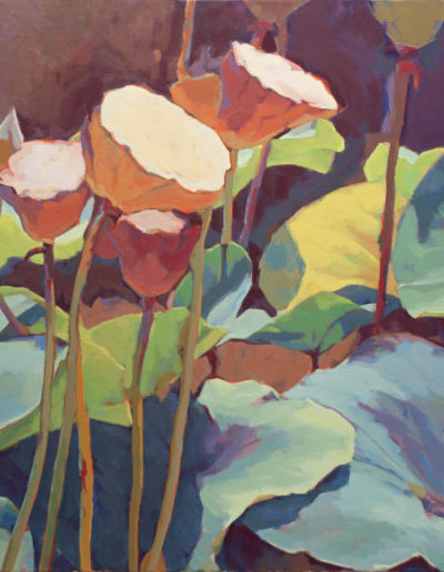 Susan Cook "Lotus 4" oil on canvas, 36x36