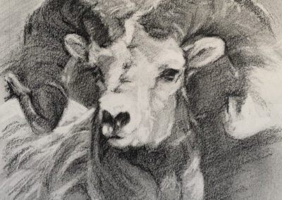 Susan Cook Sierra Nevada charcoal on paper 6x6